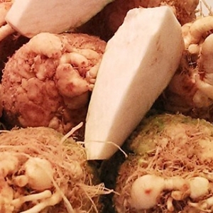 Steinhauser Frischgemüse