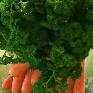 Steinhauser Frischgemüse