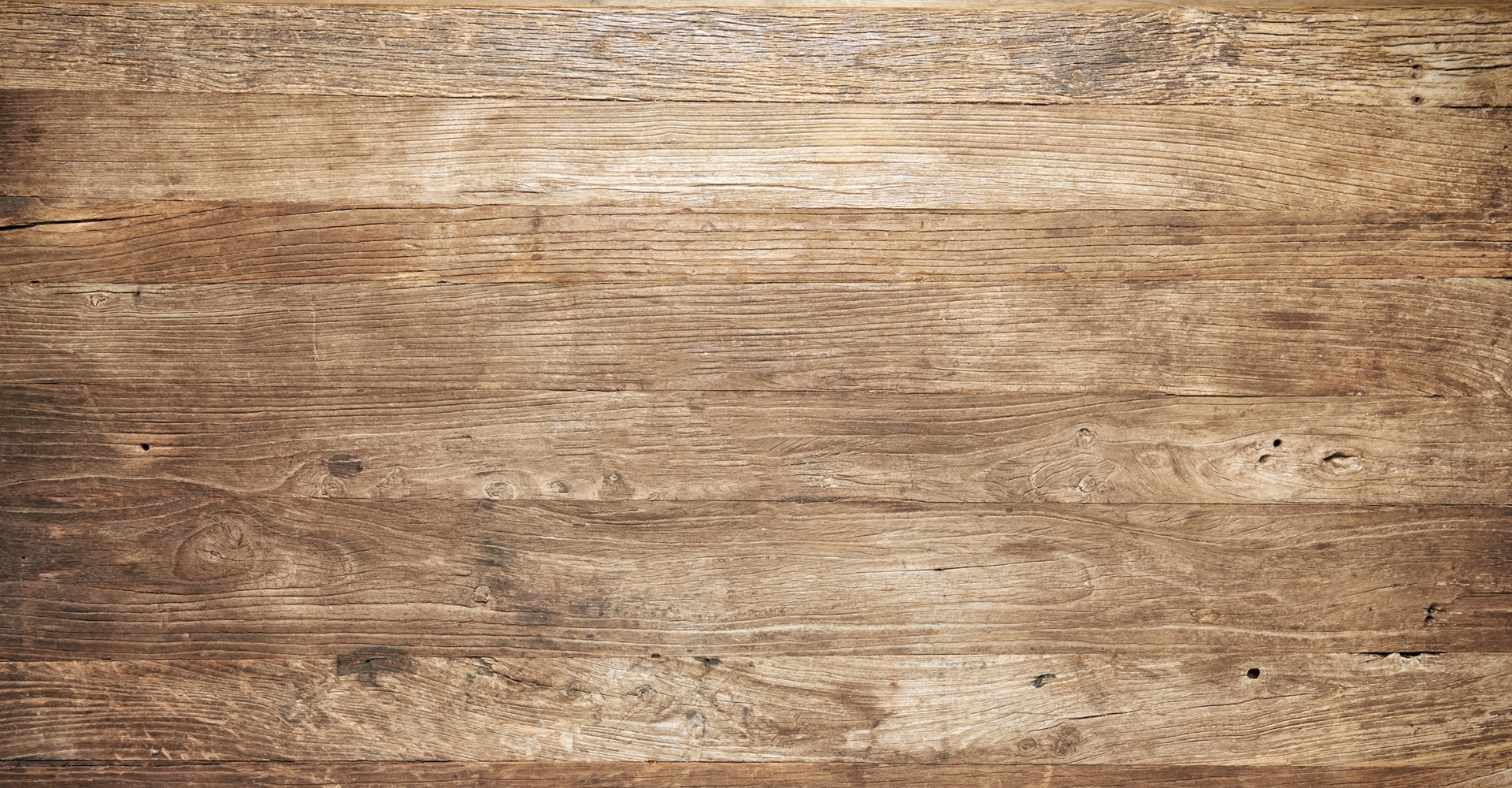 Steinhauser Frischgemüse und Charlys Erdbeeren Leonding